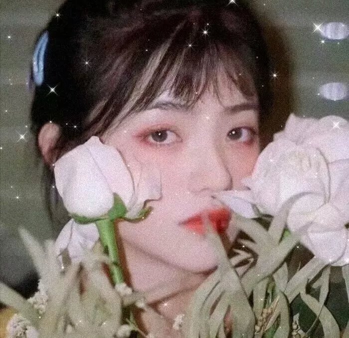 如懿传